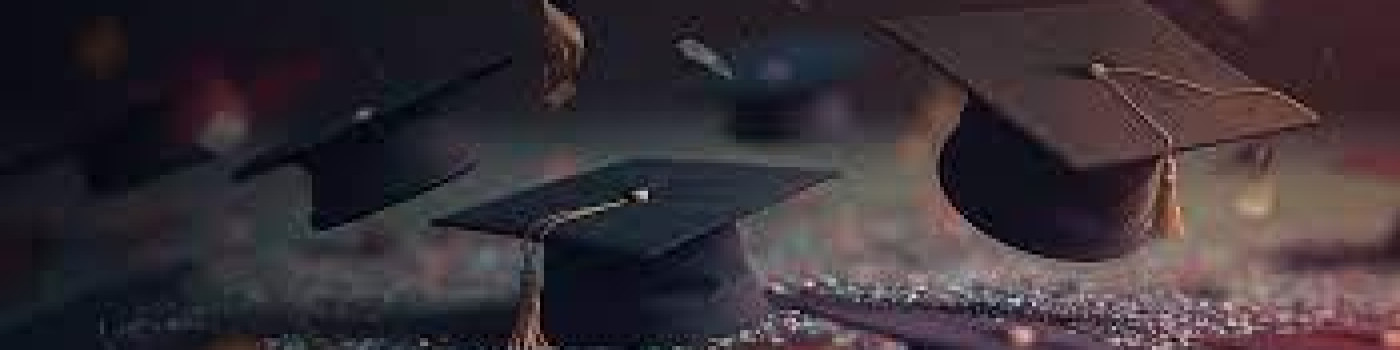 Excellence Scholarship